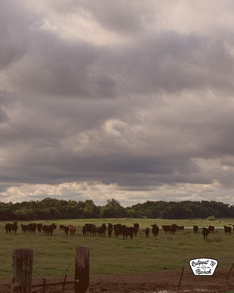 Texas land and heritage