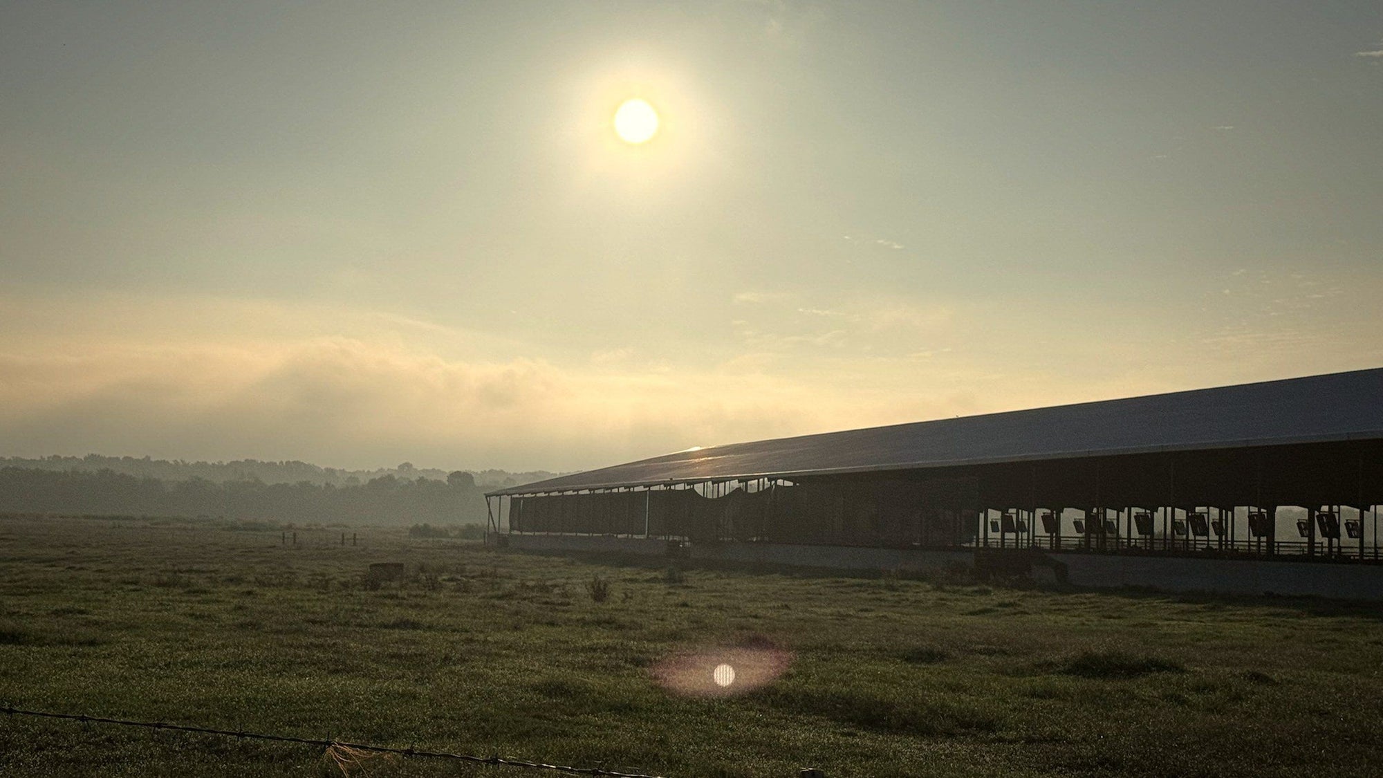 Sunrise over the finishing barns at Outpost 76 Ranch