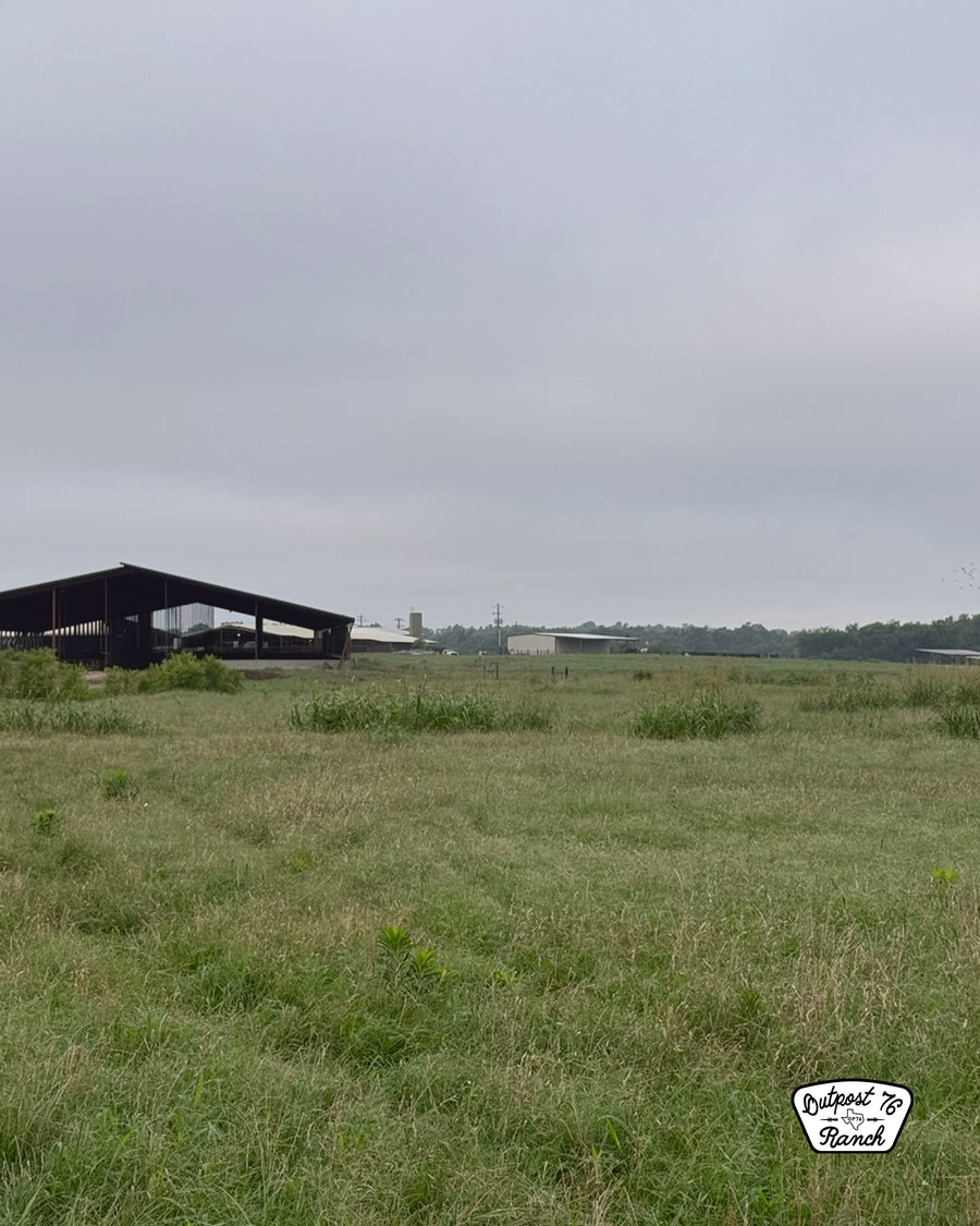 Rolling pasture and watering holes at Outpost 76 Ranch